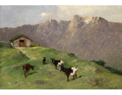 SO VIII-38 Arthur Heyer - Kozy na horských pastvinách