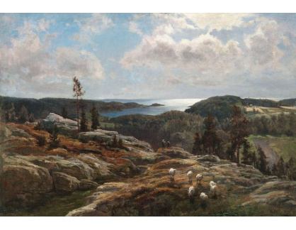 SO VIII-274 Berndt Lindholm - Krajina s ovcemi