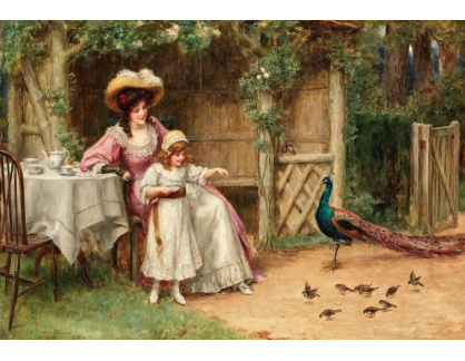 SO VIII-341 George Sheridan Knowles - Krmení ptactva