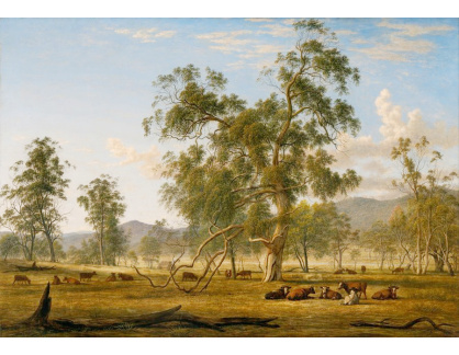 SO IX 374 John Glover - Krajina Patterdale s dobytkem