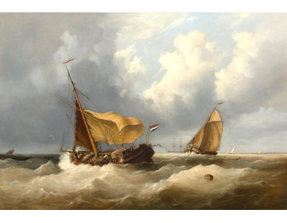 SO V-446 Henry King Taylor - Holandská rybářská loď