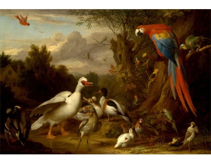 SO V-486 Jakob Bogdani - Papoušci a další ptáci v krajině