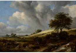 SO V-488 Jacob Isaacksz van Ruisdael - Obilné pole se Zuiderzee na pozadí