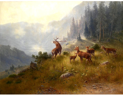 SO XII-286 Ludwig Skell - Jelen se svým stádem ve vysokých horách