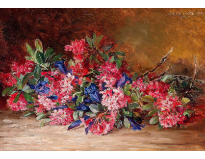 SO XIV-504 Adele Walter - Květinové zátiší