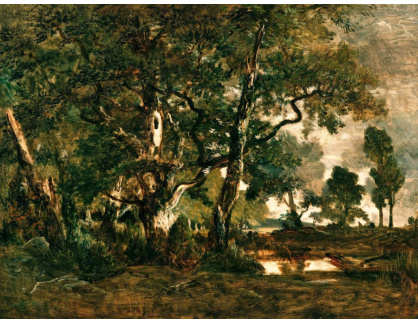 SO XIV-200 Theodore Rousseau - Les ve Fontainebleau