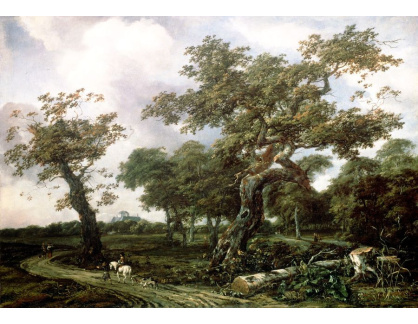 SO XIV-212 Jan van Kessel - Cesta lemovaná stromy u Haagu