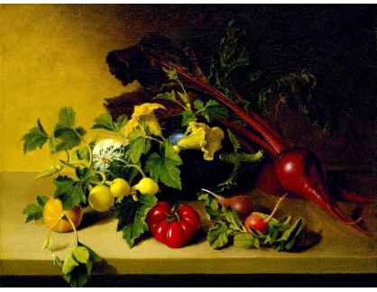SO XIV-335 James Peale - Zátiší se zeleninou