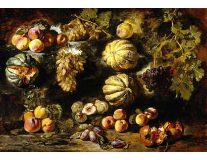SO XIV-469 Michele Pace del Campidoglio - Zátiší s ovocem