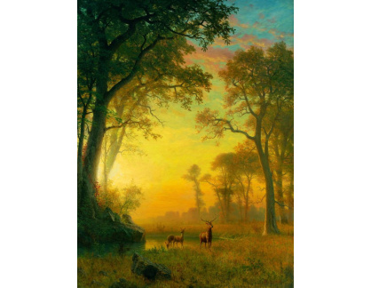 XV-54 Albert Bierstadt - Světlo v lese