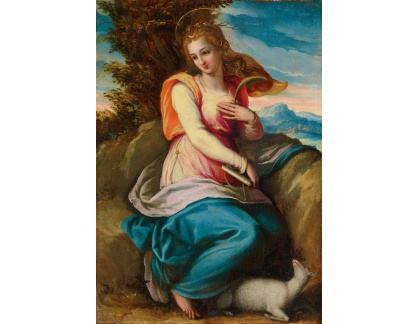 XV-114 Andrea del Minga - Svatá Agnes