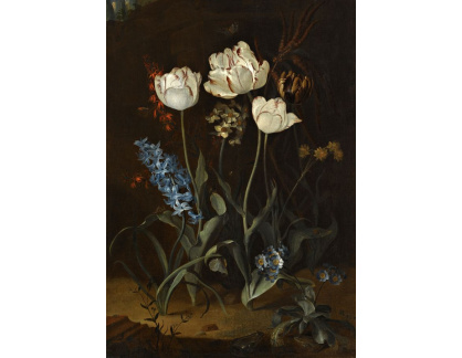 XV-345 Roepel Coenraet - Zátiší s tulipány a hyacinty
