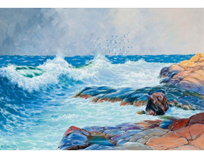 SO XVI-105 Alfred Collin - Vlny u skalnatého břehu