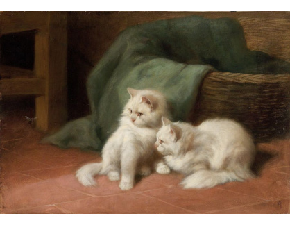 SO XVI-269 Arthur Heyer - Dvě koťata
