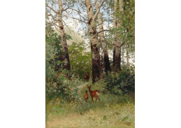 SO XVII-493 Hugo Darnaut - Srnky v lese