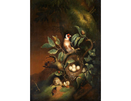SO XVII-140 Franz Michael Sigmund von Purgau - Zátiší s ptačím hnízdem