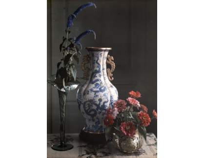 SO XVII-170 Frederick S. Dellenbaugh - Zátiší s čínskou vázou