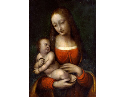 SO XVII-279 Giampietrino - Madonna s dítětem