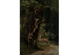 SO XVII-350 Gustave Courbet - Jelen v lese