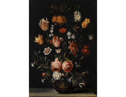 SO XVII-481 Hieronymus Galle - Zátiší s tulipány, růžemi, petúniemi a dalšími květinami ve váze