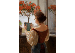 SO XVII-489 Hugo Charlemont - Mladá žena s azalkou u okna