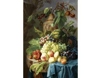 KO II-178 Johannes Hendrik Fredriks - Zátiší s ovocem na kameni