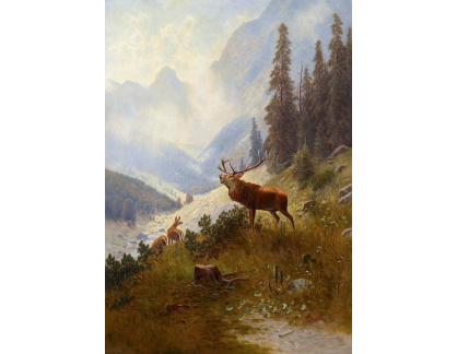 KO II-362 Ludwig Sckell - Burácející jelen v horách