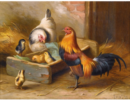 KO III-81 Edgar Hunt - Nové kuřata