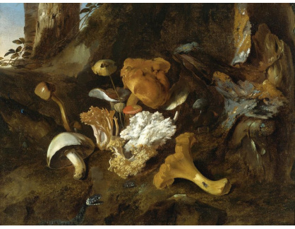 KO III-318 Otto Marseus van Schrieck - Zátiší s houbami, motýly a hadem