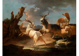 KO III-335 Peter Roos - Krajina s kozami a ovcemi