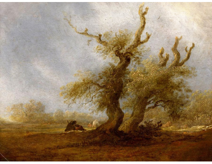 KO III-362 Salomon van Ruysdael - Lesnatá krajina s pastýřem