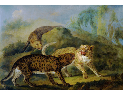 KO IV-14 Jacques-Charles Oudry - Tři leopardi