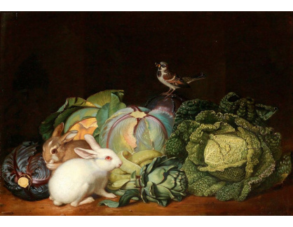 KO IV-24 Jakob Samuel Beck - Zeleninové zátiší s králíkami a vrabcem