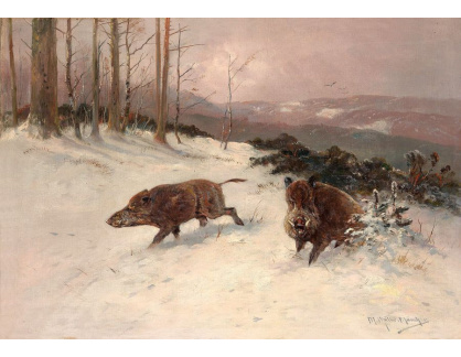 KO IV-452 Moritz Müller - Kancí v zimním lese
