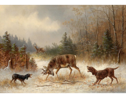 KO IV-454 Moritz Müller - Na lovu jelena