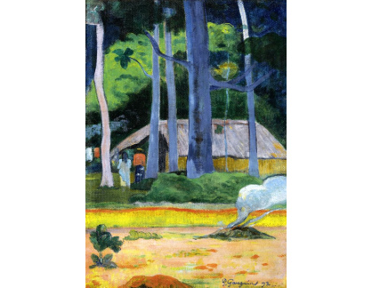 KO V-122 Paul Gauguin - Dům mezi stromy