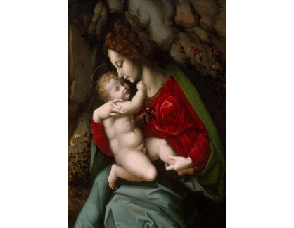 KO V-386 Bachiacca - Madonna a dítě
