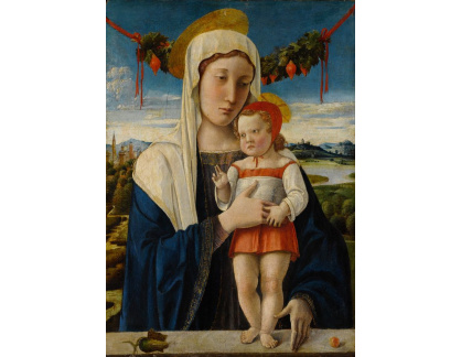KO V-432 Giovanni Bellini - Madonna a dítě