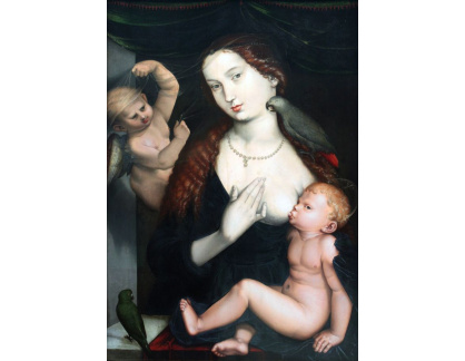 KO V-439 Hans Baldung - Madonna s dítětem a papoušky