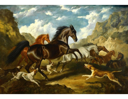 KO VI-283 Raoul Millais - Divocí koně v krajině