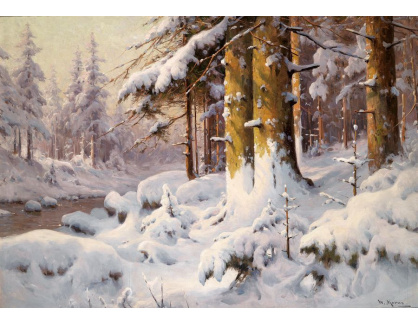 KO VI-449 Walter Moras - Slunečný zimní les