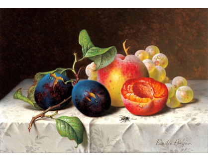 VZ053 Emilie Preyer - Zátiší s ovocem a mouchou