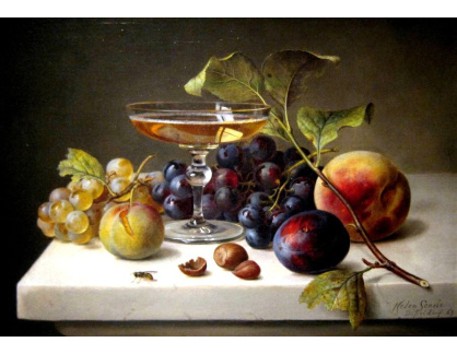 VZ083 Helen Searle - Zátiší s ovocem a šampaňským