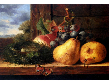 VZ109 Edward Ladell - Zátiší s ptačím hnízdem a ovocem
