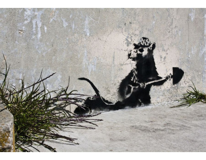 Banksy VR51-5