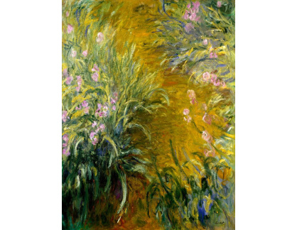 A-298 Claude Monet - Kosatce kolem chodníku
