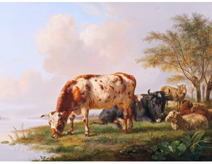 A-1132 Pieter Gerardus van Os - Krávy a ovce na břehu řeky