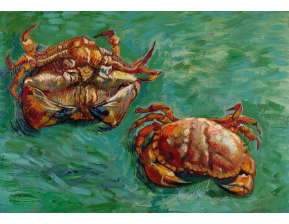VR2-509 Vincent van Gogh - Dva  krabi