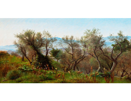 A-1278 Peter Christian Skovgaard - Olivovníky v Olevanu s horami v pozadí