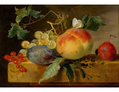 A-1336 Jan van Huijsum - Zátiší s ovocem